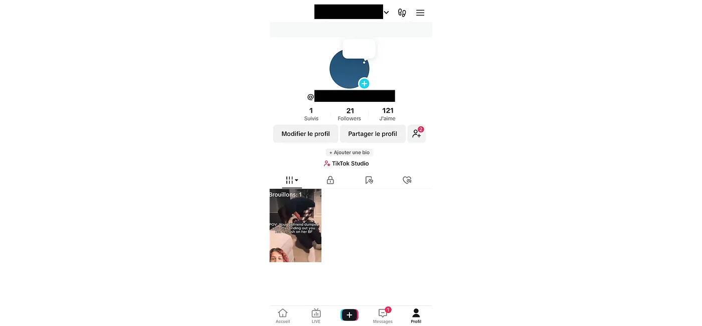 Image 11 from "Building TikTok & Instagram Farm"